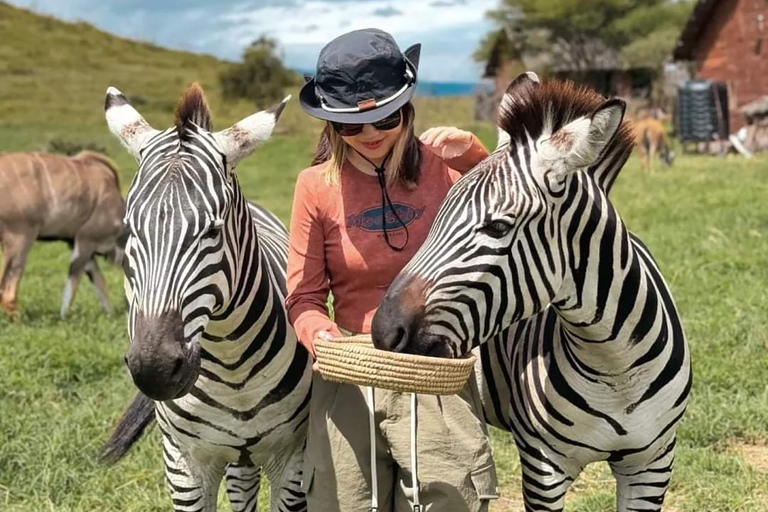 JOURNÉE FAUNE ET FLORE SAUVAGES - CIRCUIT AU DÉPART D&#039;ARUSHA, MOSHI OU ZANZIBAR.