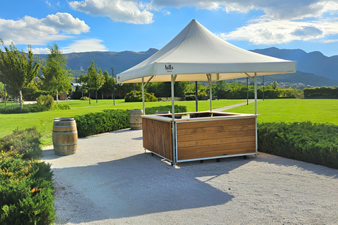 From Sofia: Plovdiv Brewery Day Trip - History, Hills & Hops