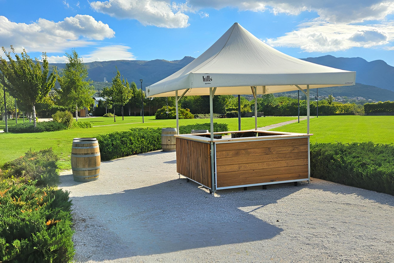 From Sofia: Plovdiv Brewery Day Trip - History, Hills & Hops