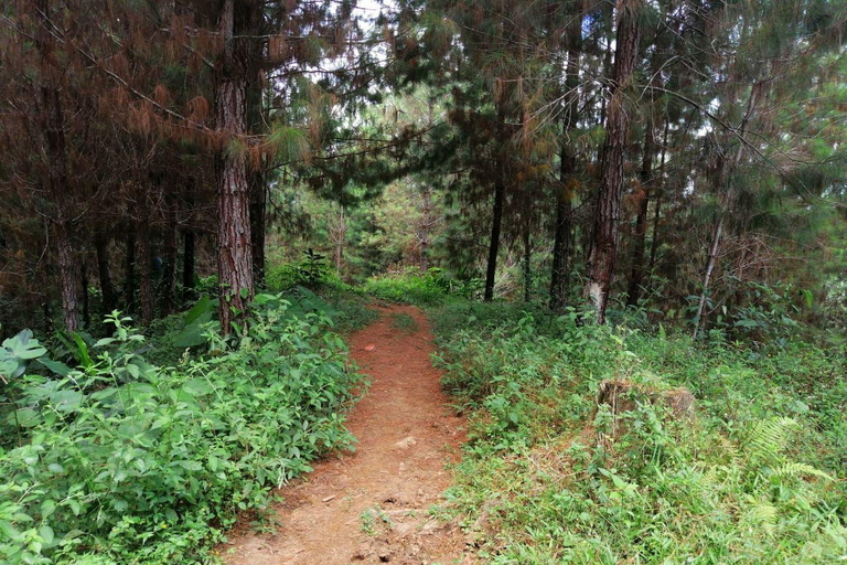 Bogotà: Tour privato a piedi