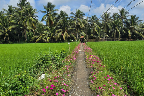 From HCMC-Mekong Delta Eco Tour: Non-Touristy & Small Group Pickup & Drop-off in District 1