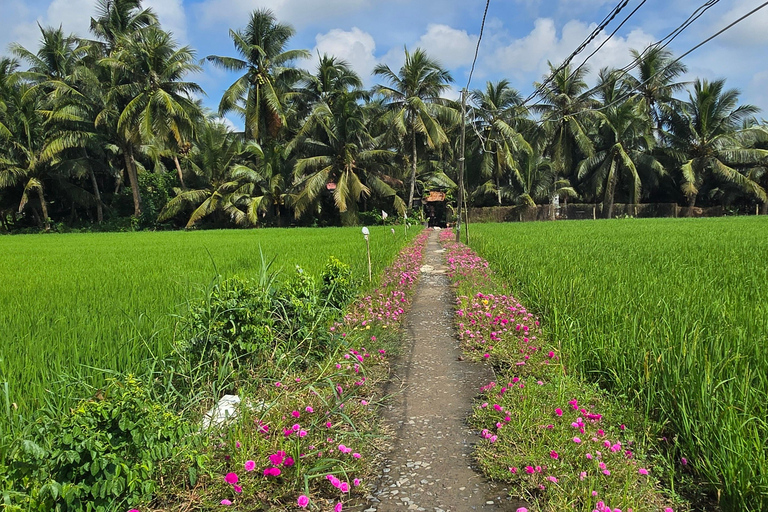 From HCMC-Mekong Delta Eco Tour: Non-Touristy & Small Group Pickup & Drop-off in District 1
