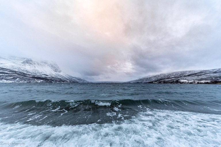 Vanuit Kiruna: Narvik Stad en Fjord Dagtrip