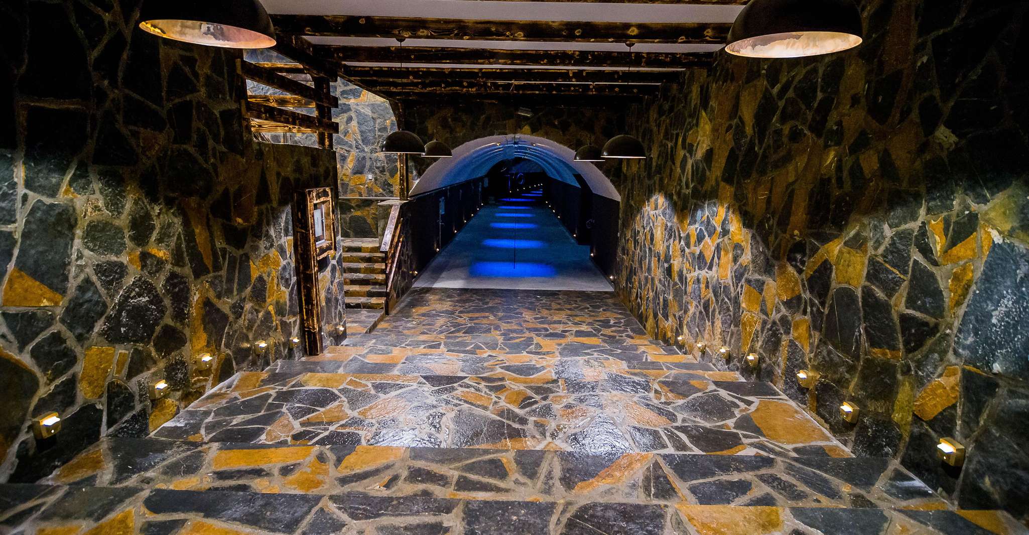 Winery Tour and Tasting at Winery Lipovac - Housity