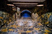 Winery Tour and Tasting at Winery Lipovac - Housity