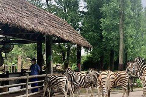 Shanghai Wildlife Park 1-Day Ticket + Free Safari Shuttle