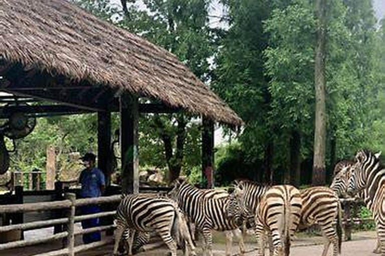 Shanghai Wildlife Park 1-Day Ticket + Free Safari Shuttle