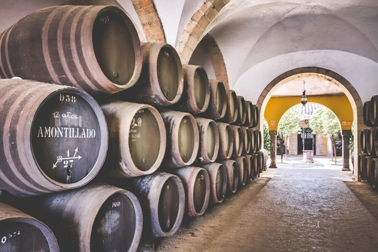 Jerez City Guided Tour and Winery Visit