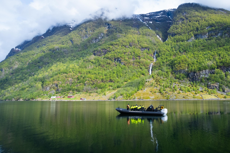 Avventura a Ulvik: Esplorare l&#039;Osafjord dell&#039;Hardangerfjord in gommoneUlvik: safari in RIB all&#039;Osafjord - un ramo dell&#039;Hardangerjord