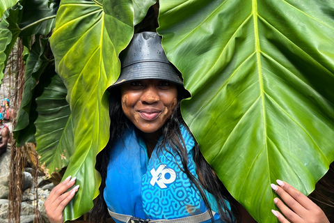 San Juan : Aventure sur le toboggan aquatique d'El Yunque avec transport