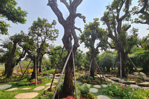 Chiangmai: Lepki wodospad &amp; Kraina aniołów &amp; Wat ban den.