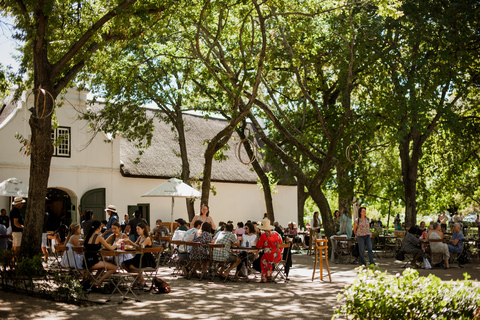 Cape Town: Cape Winelands and Vineyard Tour with Guide