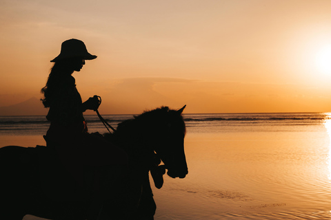 Rincón: Guided Horseback Riding Tour with Ocean Views