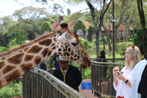 7 giorni di safari urbano e nella savana in Kenya