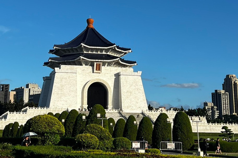 Taipei: Longshan Temple, Dihua Street & Taipei 101 Tour