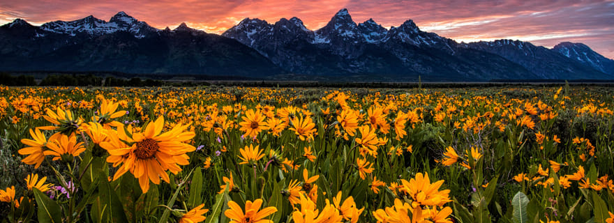 Grand Teton : Visite guidée privée (coucher de soleil)