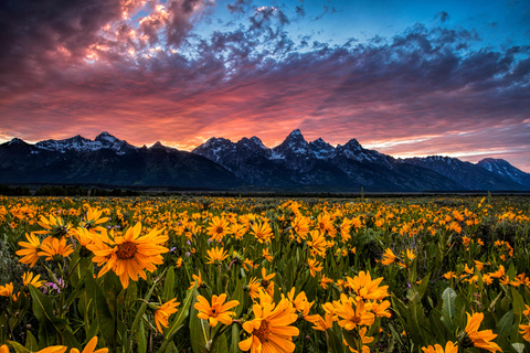 Grand Teton: Private Guided Tour (Sunset)