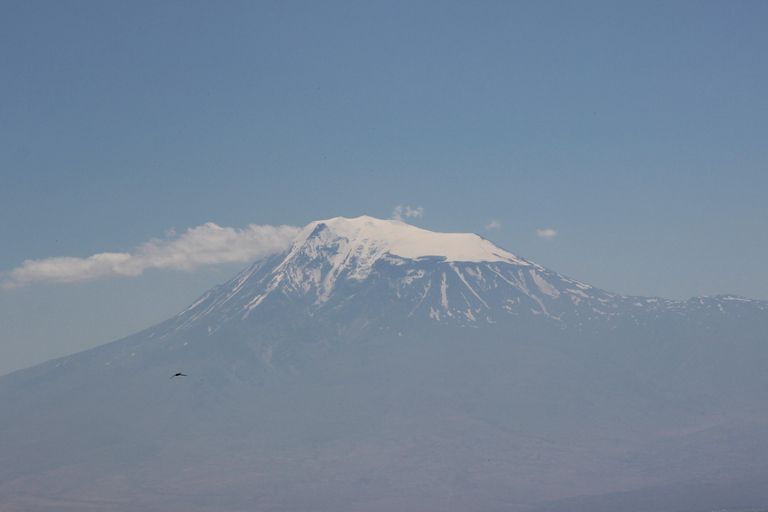Yerevan: passeio privado por Dvin e Artashat com o Monte AraratYerevan: Dvin e Artashat, passeio privado com o Monte Ararat