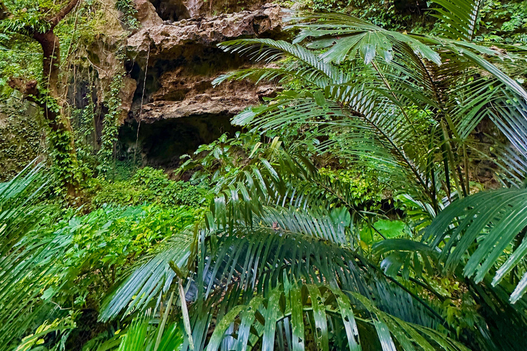 Okinawa Driving Tour with Expert Local Guide