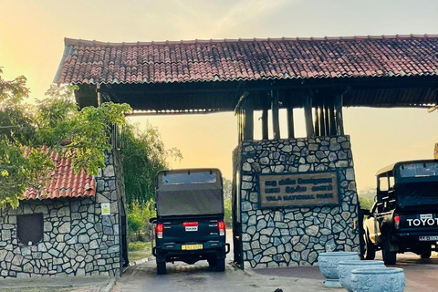 From Bentota: All Inclusive Yala National Park Jeep Safari Mirissa/Weligama/Matara/Tangalle: Yala Leopard Safari