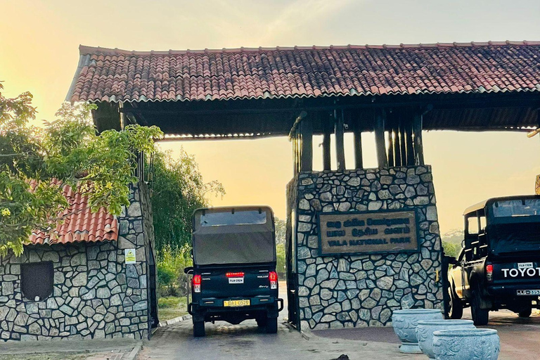From Bentota: All Inclusive Yala National Park Jeep Safari Mirissa/Weligama/Matara/Tangalle: Yala Leopard Safari