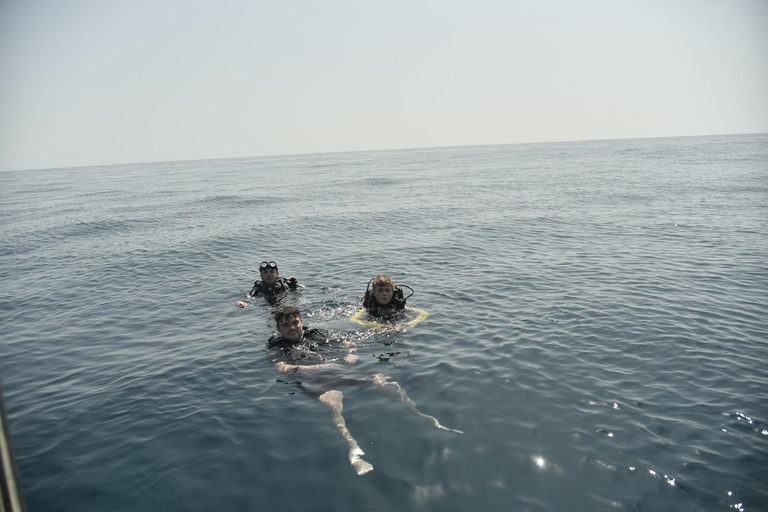 Mirissa: Private Eco Turtle Snorkelling Tour & Photography