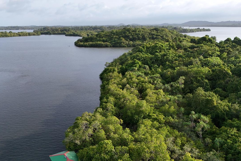 Madu River Boat Cruise & Cinnamon Garden All Inclusive Tour Madu River Boat Ride without Pick up