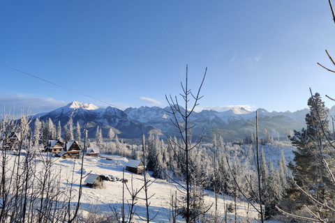 Von Krakau aus: Slowakische Baumkronenwanderung und Zakopane TourTour mit Abholung am Treffpunkt