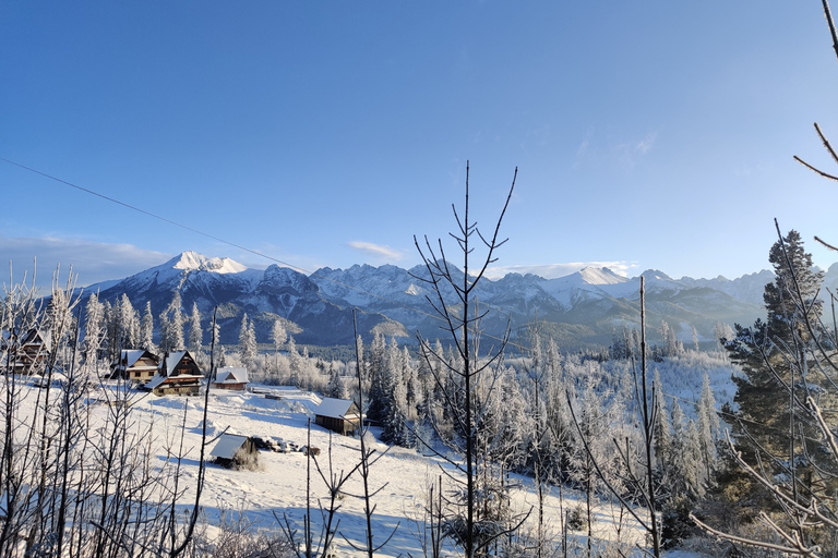 Von Krakau aus: Slowakische Baumkronenwanderung und Zakopane TourTour mit Abholung am Treffpunkt
