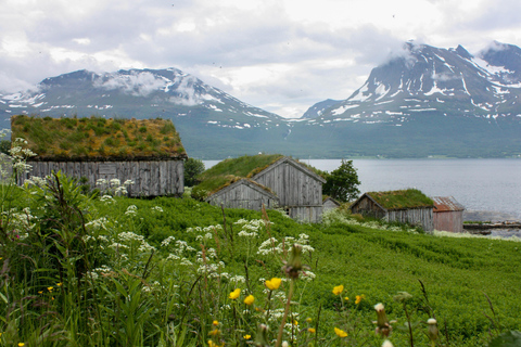 Tromsø: Small group Fjord Adventure, by Local Small group Fjord Adventure, with Local!