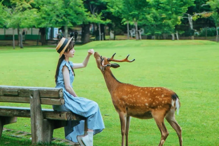 奈良公园：隐秘小径与鹿群导览之旅（含接送服务）