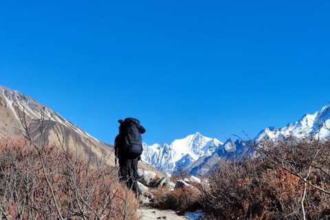 Pokhara: 6-tägiger Langtang TrekPokhara: 6-tägiges Langtang Trek Servicepaket