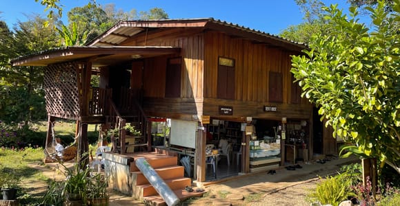 Pa Pae Meditation: Private Car transfer to/from Chiang Mai
