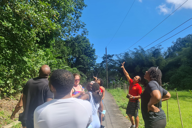 Trinidad: Experiencia de senderismo por la Cascada del Zorro