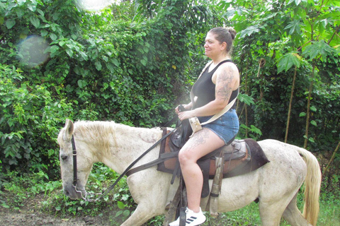 Puerto Plata: Horseback Tour of the Beach and Local Community