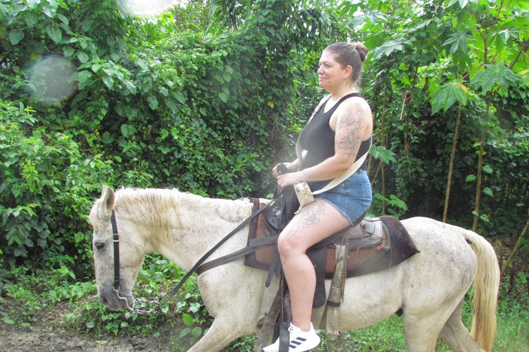 Puerto Plata: Horseback Tour of the Beach and Local Community