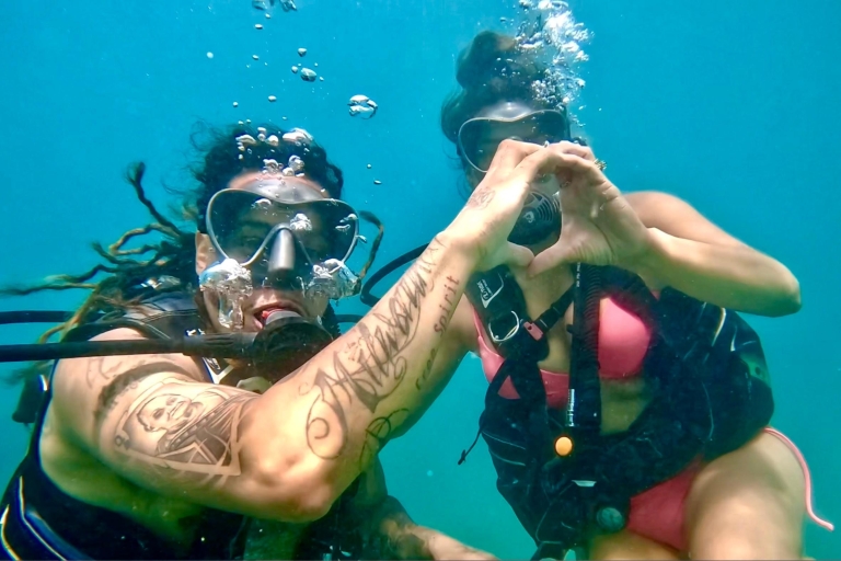 Honolulu: aventura de buceo para principiantes