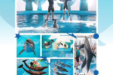 芭堤雅私人一日游：城市观光和热门景点芭堤雅日落和夜生活之旅：卡巴莱表演和泰式按摩