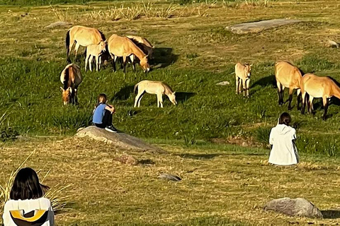 Hustai National Park Wild Horse Sunset Tour