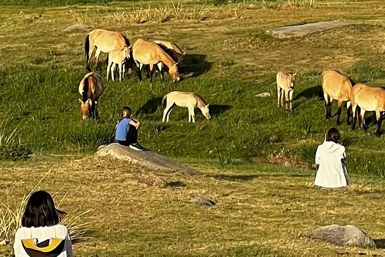 Hustai National Park Wild Horse Sunset Tour