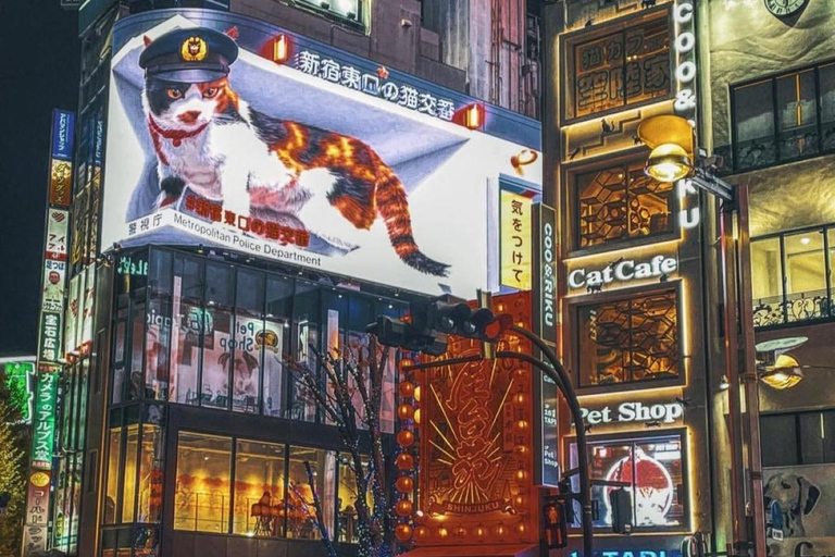 Tokyo Night Private Tour With English Speaking Driver