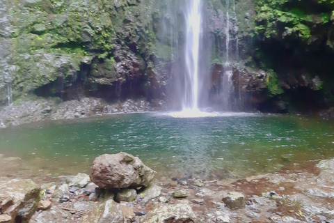 Madère : Jungle Fever Levada Caldeirao Verde Hike SantanaFunchal : prise en charge par le téléphérique du centre