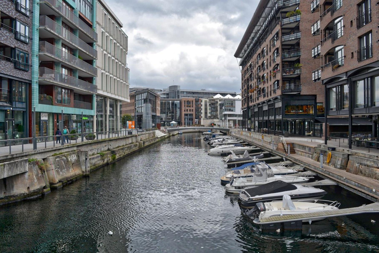 Oslo: Spanish Tour of Oslo and Vigeland Park