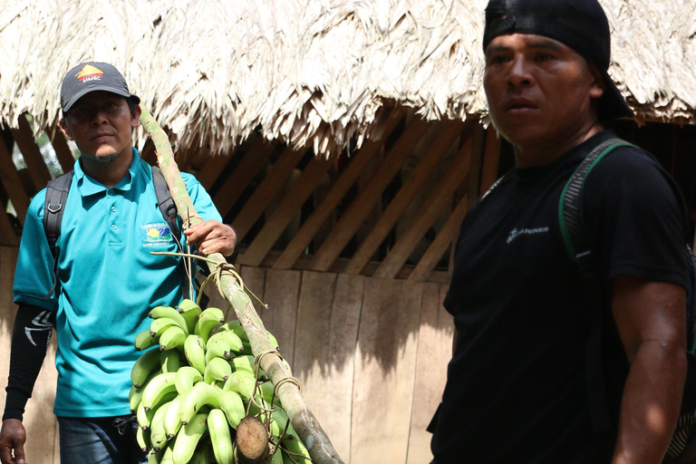 Cahuita National Park+Bribri Chocolate Tour+Waterfalls Tour+Lunch