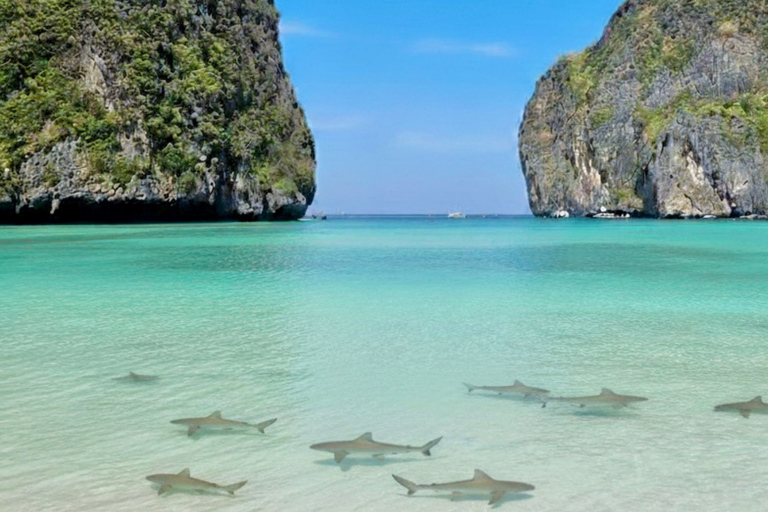 Krabi: Phi Phi Day Tour for First-Time Visitors + Pickup
