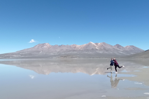 From Arequipa: Salinas Lake Day Trip (Private Tour) From Arequipa: Salinas Lake Day Trip (Private Tour)