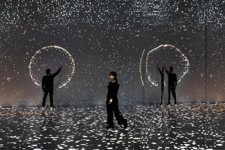 تالين: تجربة فنية غامرة مع عبقرية دافنشي