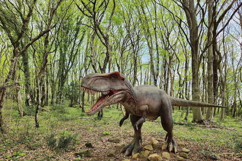 Kutaisi: Sataplia, Dinosaur Footprint, included Wine Tasting