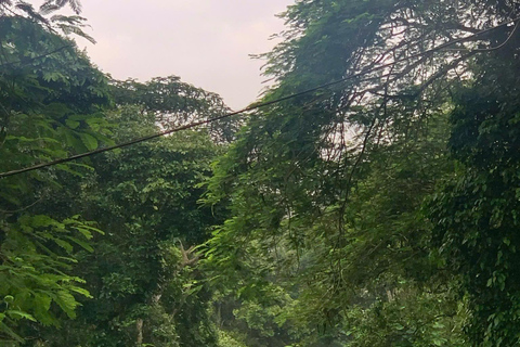 Hanoi: Van Long Wetland, Bear Sanctuary, Cuc Phuong Tour