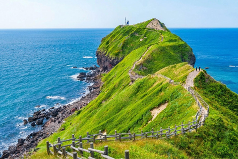 Sapporo: Otaru, Cape Kamui, and Blue Cave Summer Special 8;00 am meet at Odori Park subway station exit 31